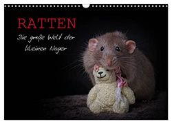 Ratten. Die große Welt der kleinen Nager (Wandkalender 2025 DIN A3 quer), CALVENDO Monatskalender: Ein außergewöhnlicher Tierkalender, der die schlauen Nagetiere in Ihrer niedlichsten Form zeigt.