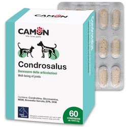 Camon Condrosalus 60Cpr, Un tamaño 90 g
