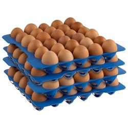 APS 10 lager till ägglåda, förvaring av ägg, varje lager á 30 ägg, 28,5 x 28,5 cm, 6,5 cm höjd