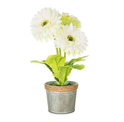 EUROCINSA 60170C02 Arrangemang Gerbera Daysi Elfenben, låda med 2 stycken, plast, metall, 20 x 34 cm