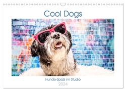 Cool Dogs - Hunde-Spaß im Studio (Wandkalender 2024 DIN A3 quer), CALVENDO Monatskalender: Diese lustigen Hundeportraits machen gute Laune.