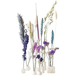 BloomPost Bloom & Clay Blue - Regalo Set originale via Cassetta postale - Ispirato dalla natura