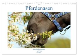 Pferdenasen (Wandkalender 2025 DIN A4 quer), CALVENDO Monatskalender: Verschiedenste weiche Nüstern im Detail