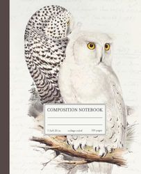 Composition Notebook College Ruled: Vintage Illustration of Sweet Owls | Cute Aesthetic For Girls, Teens, Women & Nature Lovers