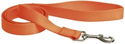 CHAPUIS SELLERIE SLA143 Correa de perro y gato - Correa de nailon naranja - Ancho 10 mm - Largo 1,20 m - Talla XS