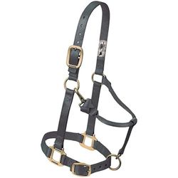Original Verstelbare kinband en keelstuk met drukknoopsluiting, 2,5 cm, groot paard, grafiet