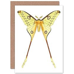 Wee Blue Coo Moth Yellow Illustration Greeting Card With Envelope Inside Premium Quality Jaune