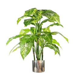Leaf Grande Plante Artificielle en Métal Motif Renard Aglaonema (Pois Vert éternel) 100 cm