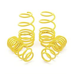 Apex 80-1000/1 Lowering Springs