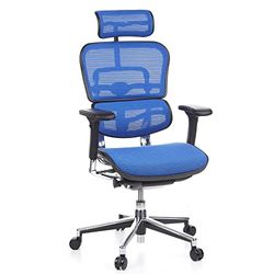 hjh OFFICE 652150 Silla de Oficina ERGOHUMAN Silla Escritorio en Malla Azul, Silla giratoria ergonómica, Reposabrazos Regulables