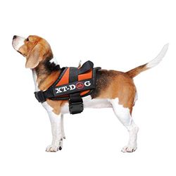 XT-Dog Arnes veiligheid Xt-Dog XXL, oranje