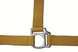 HKM 558562 Licol Stars Economy