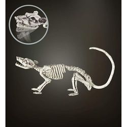 W WIDMANN MILANO Party Fashion- Animaux WIDMANN 996 Rat modelable 38 cm Squelette et tête de Mort fête Carnaval, Enfants Unisexes, 11009669, Multicolore, Taglia Unica
