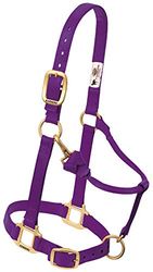 Weaver Leather - Cavezza Regolabile in Nylon, Colore Viola, per Arabo/Cavallino.