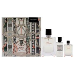 HERMES TERRE D'HERMES SET: EDT SPRAY 100ML + 12.5ML + ASB 40ML