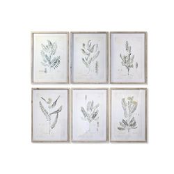 CUADRO CRISTAL ABETO 50X2X70 BOTANICO 6 SURT.