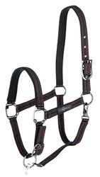 Licol pour Goleygo Noir/fuchsia, Foal