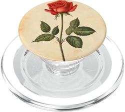 Rosa Floral Vintage Ilustración Científica Flor PopSockets PopGrip para MagSafe