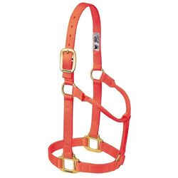 Weaver Leather Licol Original Non réglable en Nylon pour Cheval Orange