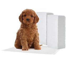 Iris Ohyama, Alaise Pour Chien, Alèse Jetable 44x30 Tapis Educateur pour Chiot, Apprentissage de la Propreté, 5 Couches de Protection Anti-Fuite et Résistante (100 Pièces) - Pet Pad NS-100R