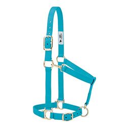 Weaver Leather Licol Basique réglable en Nylon, Turquoise, 2,5 cm, Grand Cheval