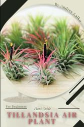 Tillandsia Air Plant: Plant Guide