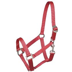PFIFF 005543 - Cavezza per salice, in plastica, Colore: Bordeaux