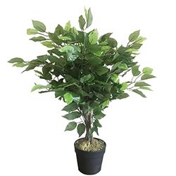 Leaf AZ-FICUS Kunstboom/Kunstplant, 60 cm, 60 cm, 60 cm