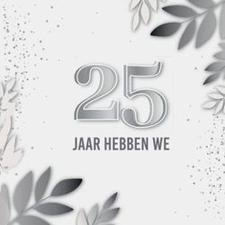 25 jaar hebben we: 25e huwelijksverjaardag gastenboek | zilveren bruiloft gastenboek Memory Album | Cadeau en Deco voor zilveren huwelijksverjaardag ... felicitaties en foto's van de gasten