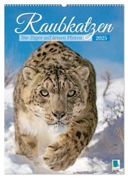 Raubkatzen: Die Jäger auf leisen Pfoten (Wandkalender 2025 DIN A2 hoch), CALVENDO Monatskalender: Sprungkraft, Eleganz und Schönheit: Jaguar, Löwe und Tiger