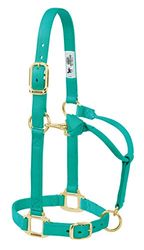 Weaver Leather Licol de Cheval réglable en Nylon Vert émeraude