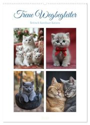 Treue Wegbegleiter (Wandkalender 2026 DIN A2 hoch), CALVENDO Monatskalender: Dieser liebevoll gestaltete Kalender zeigt die eleganten und charmanten Britisch Kurzhaar Katzen in ihrer vollen Pracht.