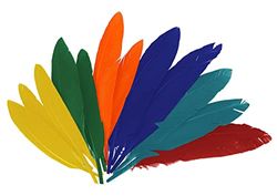 INNSPIRO Plumas indio mix colores Aprox. 25mmx140mm. 60u., ideal para manualidades con niños, decoraciones y actividades creativas