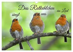 Das Rotkehlchen singt uns ein Lied (Wandkalender 2026 DIN A3 quer), CALVENDO Monatskalender: Das Rotkehlchen strahlt eine besondere Ruhe aus. Es ist oft bei uns im Garten zu Gast.