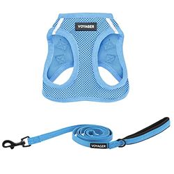 Best Pet Supplies Voyager Step-in Air All Weather Mesh Harness and Reflective Dog 5 ft Leash Combo with Neoprene Handle, for Small, Medium and Large Breed Puppies by - Leash Harness (Baby Blue), XS