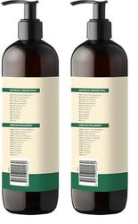 Lime & Coconut Botanical Body Wash (Pack of 2)
