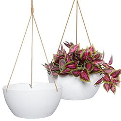 SwinDuck Lot de 2 Grands Pots de Fleurs à Suspendre de 30,5 cm pour Plantes d'intérieur et d'extérieur, Pots à Suspendre en Plastique pour Plantes d'intérieur, Fleurs, Blanc