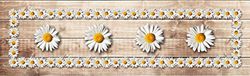 Passatoia da cucina, 100% Made in Italy, Tappeto antimacchia con stampa digitale, Runner antiscivolo e lavabile, Modello Flowers - Enoch, cm 240x52