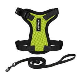 Best Pet Supplies Voyager - Set combinato di guinzaglio regolabile per gatti con manico in neoprene, 1,5 m, supporta gatti di taglia piccola, media e grande, di Best Pet Supplies - Verde lime/bordo