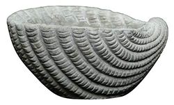 Classic Home and Garden Maceta de Cemento para Interiores y Exteriores, Color Gris, 5 Pulgadas