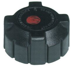 3RG 81900 refrigerantes du moteur