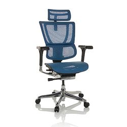 hjh OFFICE Chaise de Bureau ERGOHUMAN Slim I Filet Fauteuil de Bureau Ergonomique avec Soutien Lombaire Flexible, Bleu, 652291