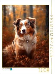 CALVENDO Puzzel EEN motief uit de kalender Australische herder | Lege Size cm fotopuzzel voor gelukkige uren