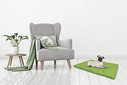 Elegant Tpverdemela Tappetino per Cani con Cerniera Sfoderabile, Microfibra anallergica, Verde Mela, 60 x 100