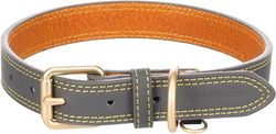 Flamingo Hondenhalsband, Virginia, grijs, L 43-53 cm, 25 mm, met een ring voor identificatielabel, genaaid voor een hogere weerstand