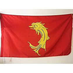 AZ FLAG Bandiera LOIRA 90x60cm - Bandiera Dipartimento della Loire - Francia 60 x 90 cm Foro per Asta