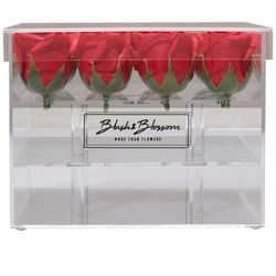 Blush & Blossom C16P Fiori, Passione, One Size