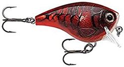 Rapala - Leurre de Pêche BX Brat - Leurre Pêche en Balsa - Matériel de Pêche d’Eau Douce - Poissons et Carnassiers - Prof de Nage 1.8 m - Taille 5cm/10g - Fabriqué en Estonie - Delta