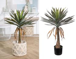 Potted plant, Palm tree, Resin, green, PU 1, H. 88 cm, D. 70 cm