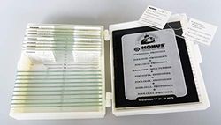 Préparation Cone Set - Zoologie 1 (Pack de 10)